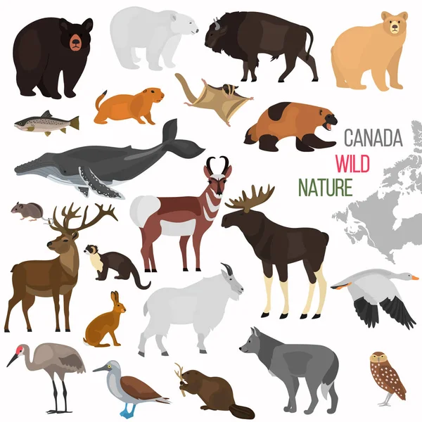 Dzikie Zwierzęta Kanada Kolor Ikon Płaski Zestaw — Wektor stockowy