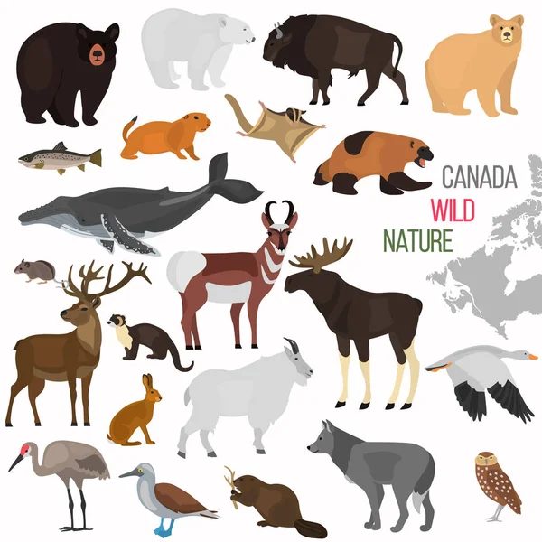 Wild Animals Canada Color Flat Icons Set — Stock Vector