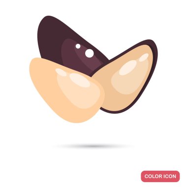 Sedir fındık renk düz simgesi