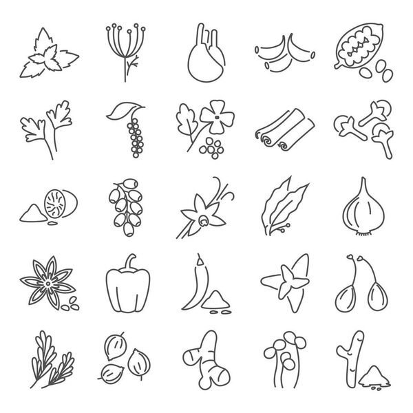 Different spices line icons set