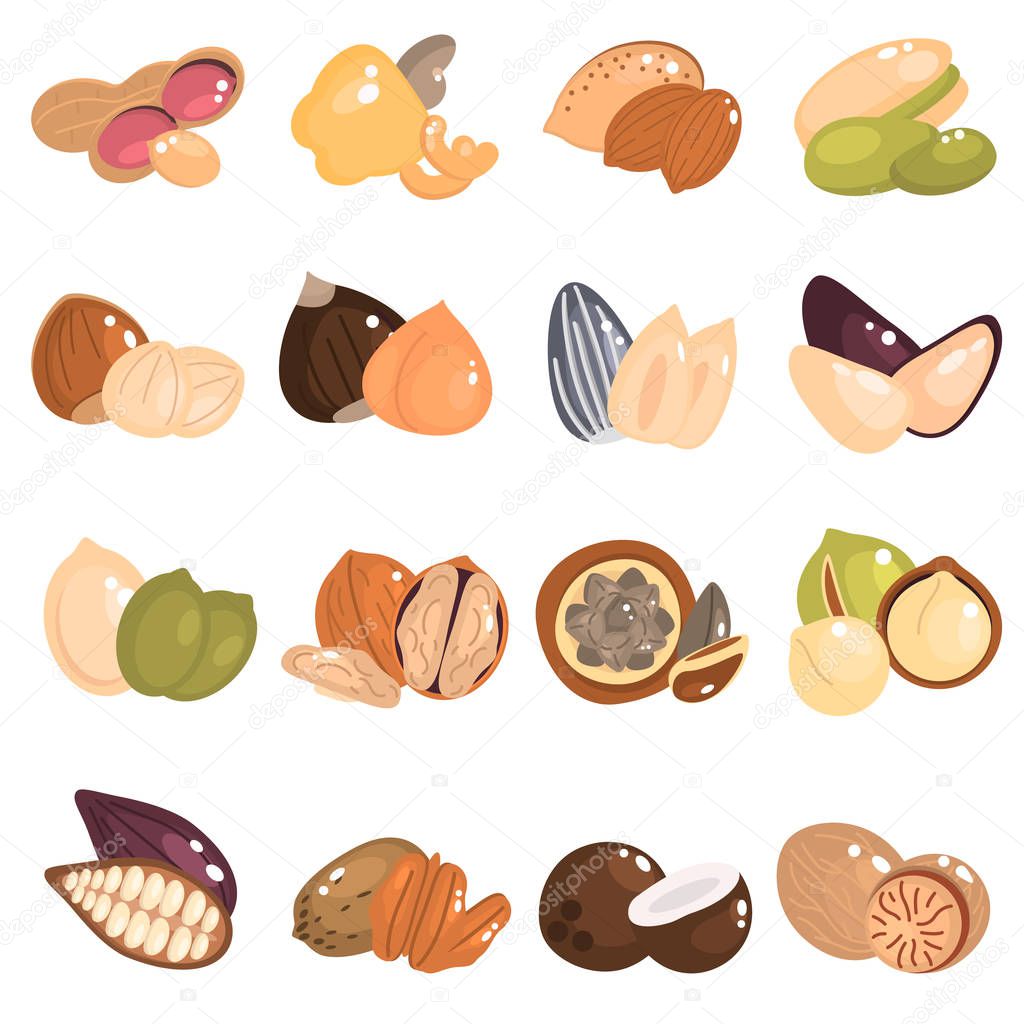 Nuts and seeds color flat icons set