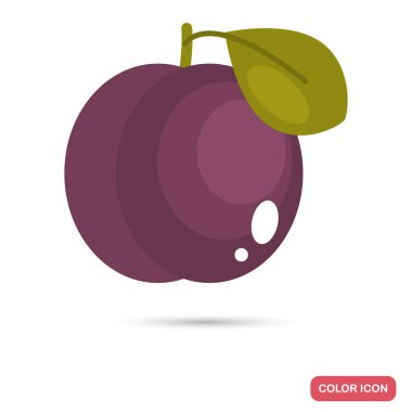 Olgun erik meyve renk düz simgesi
