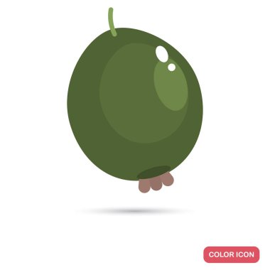 Feijoa egzotik meyve renk düz simgesi