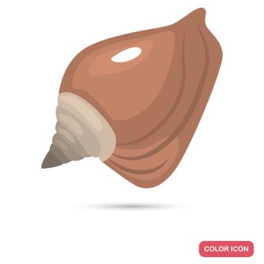 Deniz kabuğu karikatür renk yüksek kalite simgesi