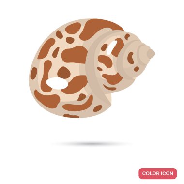 Deniz kabuğu karikatür renk yüksek kalite simgesi