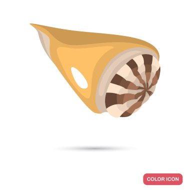 Deniz kabuğu karikatür renk yüksek kalite simgesi