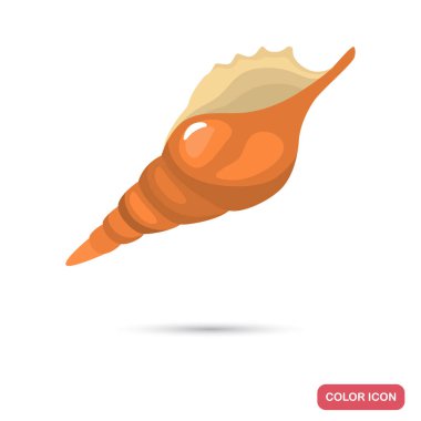 Deniz kabuğu karikatür renk yüksek kalite simgesi