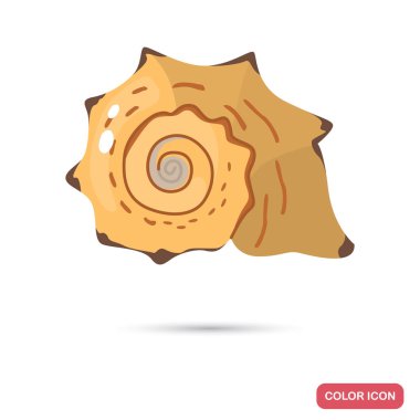 Deniz kabuğu karikatür renk yüksek kalite simgesi