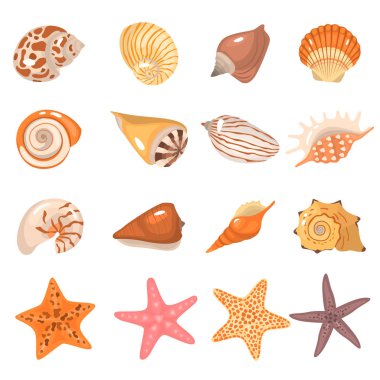 Deniz kabukları ve deniz yıldızı renk Icons set çizgi film