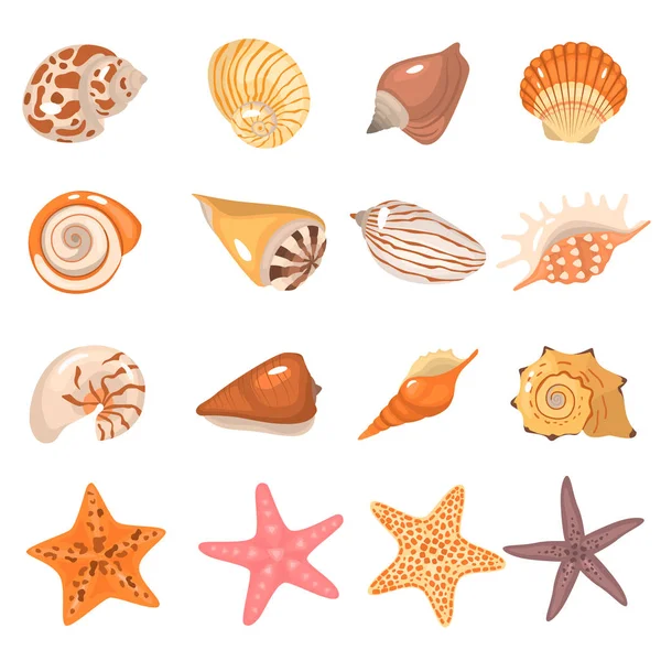 Conjunto Conchas Marinas Iconos Dibujos Animados Color Estrella Mar — Vector de stock