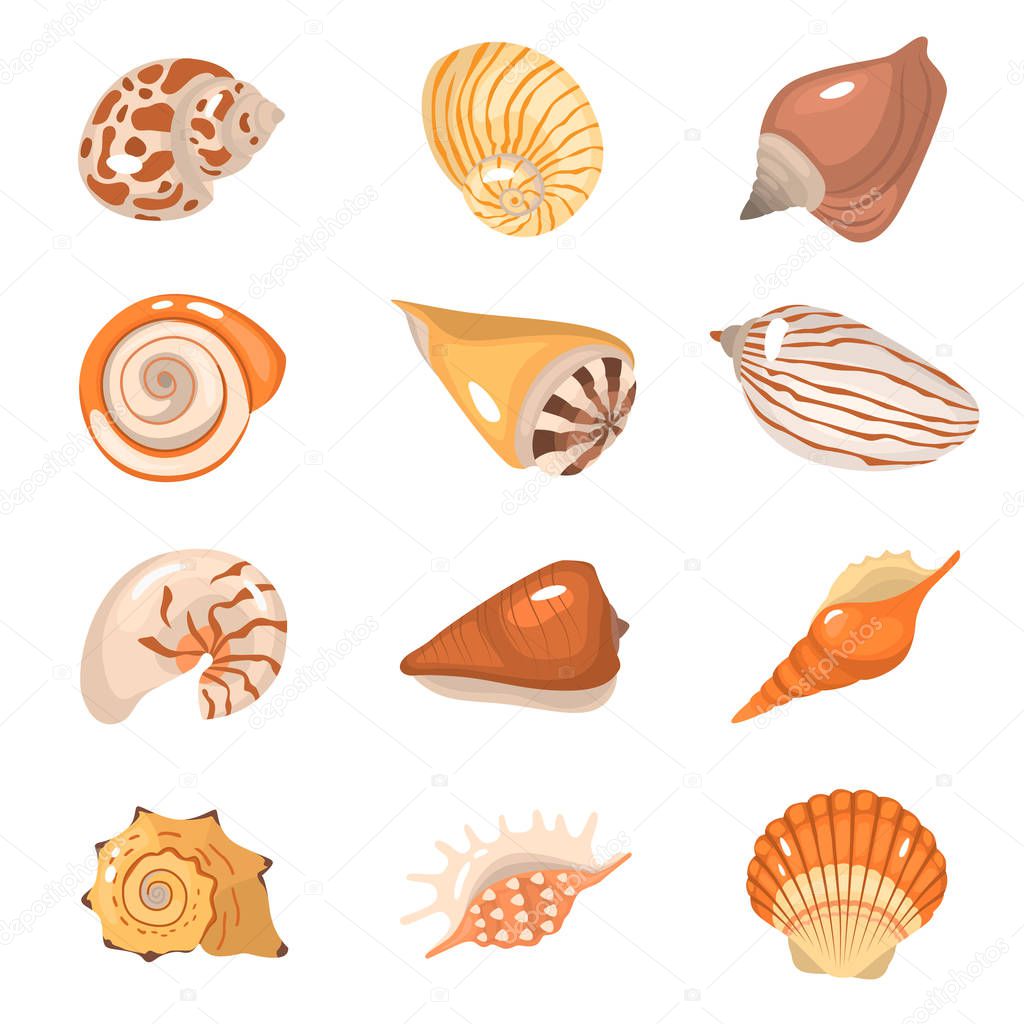 Sea shells cartoon color icons set