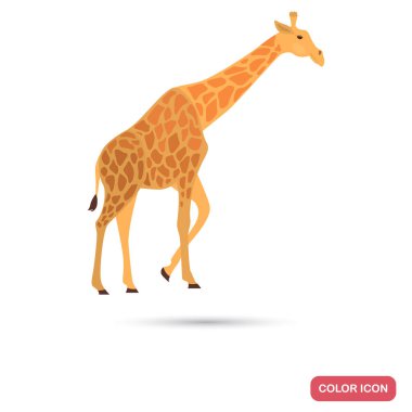 Zürafa renk düz simgesi