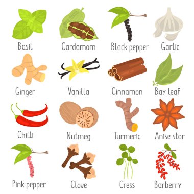 Farklı baharatlar düz Icons set renk