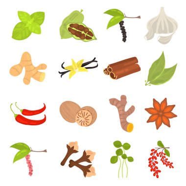 Farklı baharatlar düz Icons set renk