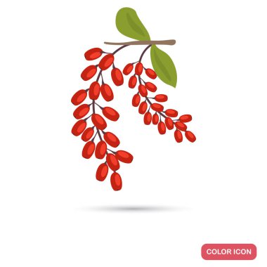 Kızamık baharat renk düz simgesi