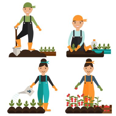 Bitkileri süreci beyaz arka plan üzerinde Ekim renk kümesi 