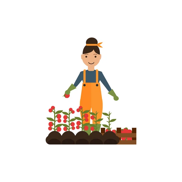 Ilustración Cosecha Los Agricultores — Vector de stock