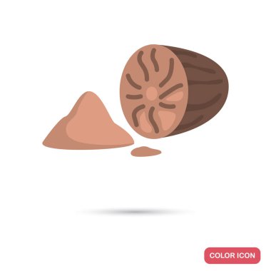 Web ve mobil tasarım için Hindistan cevizi renk düz simgesi