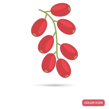 Baarberry renkli flt simgesi web ve mobil tasarım için