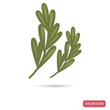 Biberiye twigs renk düz simgesi web ve mobil tasarım için