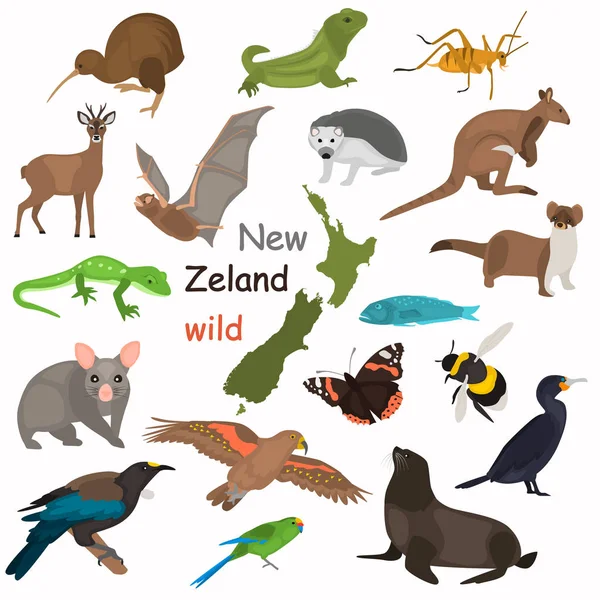 Nuova Zelanda animali selvatici colore piatto icone impostato per il web e mobile design — Vettoriale Stock