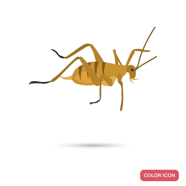 웹 및 모바일 디자인을 위한 새로운 Zeland 메뚜기 색상 플랫 아이콘 — 스톡 벡터