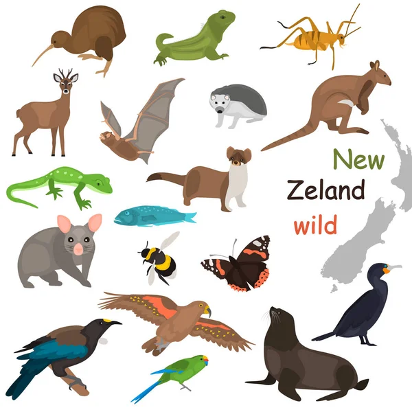 New Zeland hewan liar warna ikon datar ditetapkan untuk web dan desain mobile Grafik Vektor