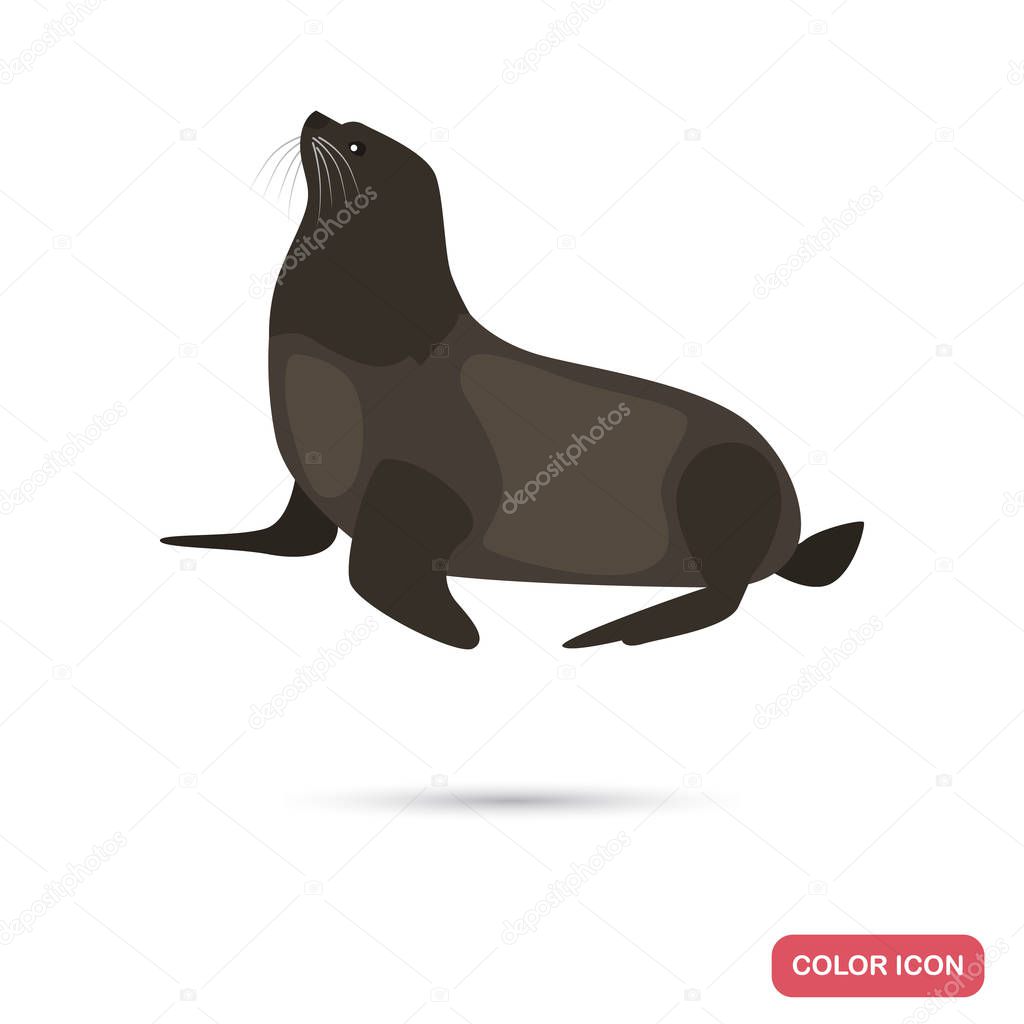 Fur seal color flat icon for web and mobile design