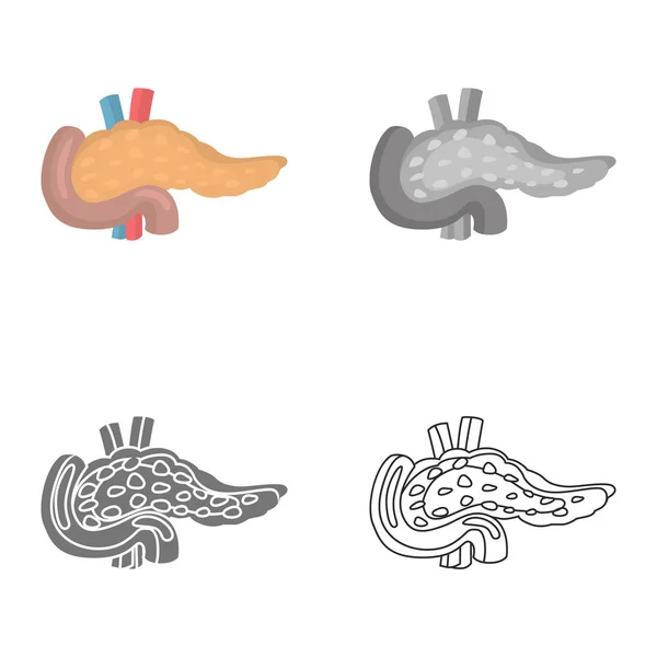 Color del páncreas plano, línea, conjunto de iconos simples y monocromáticos — Archivo Imágenes Vectoriales