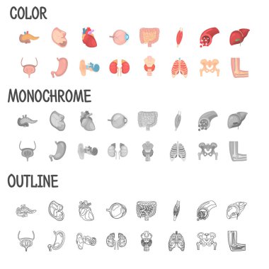İnsan anatomisi renk düz, çizgi ve monokrom simgeleri seti