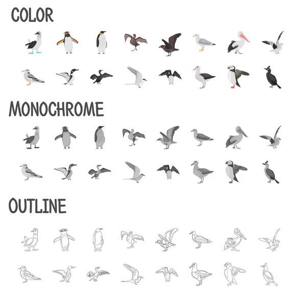 Diferentes aves marinhas cor plana, cores preto e branco, linha, conjunto de ícones conceito simples — Vetor de Stock