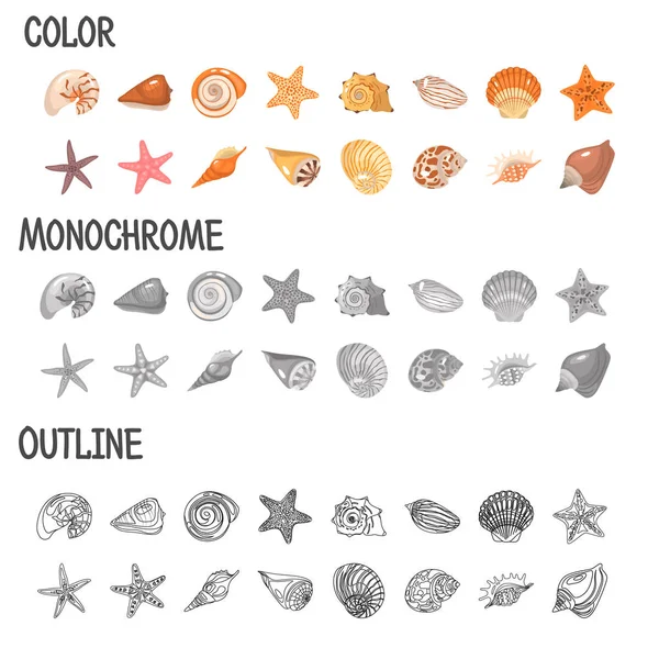 Conjunto de conchas y estrellas de mar de color plano, línea e iconos monocromáticos. Concepto vectorial — Archivo Imágenes Vectoriales