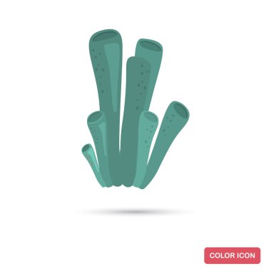 Deniz mercanları Web ve mobil tasarım için düz simge renk