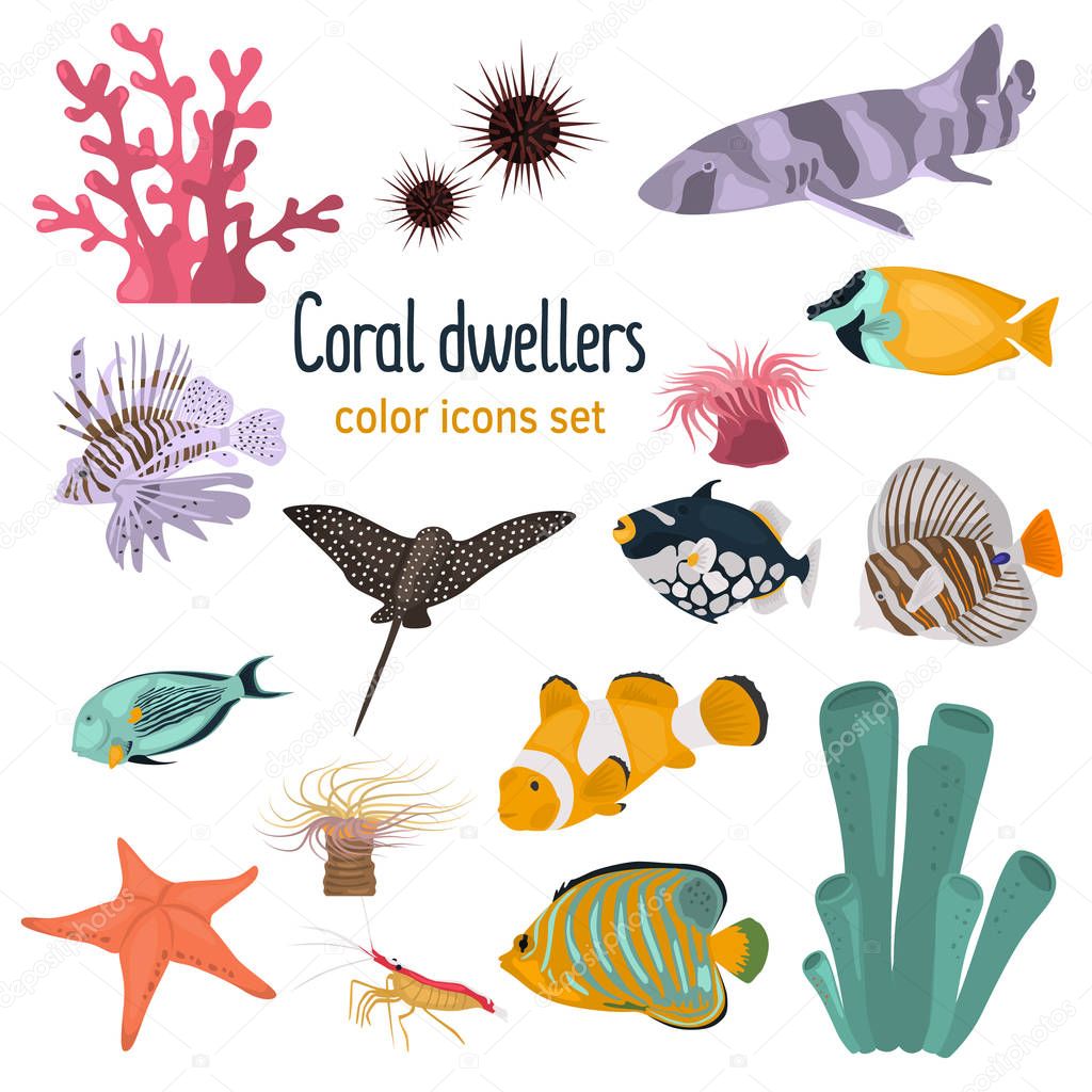 Animal coral reefs color flat icons set for web and mobile design