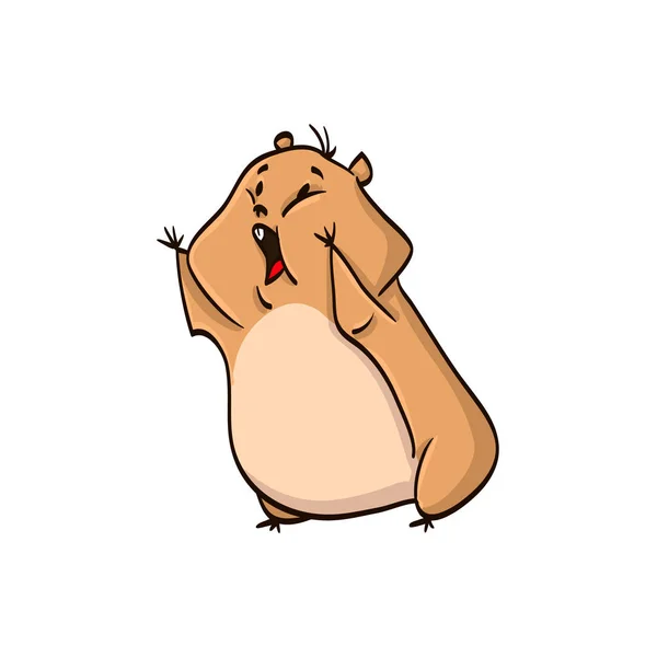 Hamster Desenho Animado Colorido Engraçado Animal —  Vetores de Stock