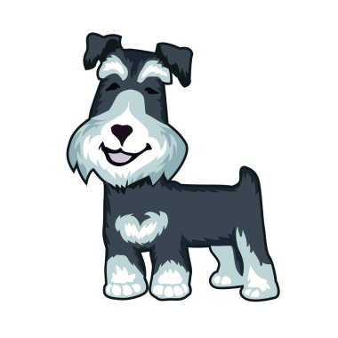 köpek orta schnauzer