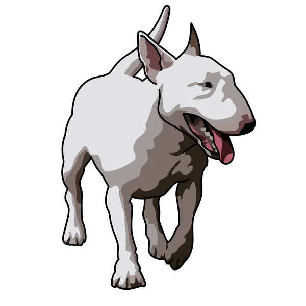 White bull terrier dog — Stock Vector