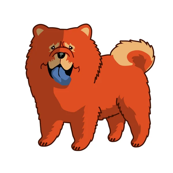 Perro chow chow rojo — Vector de stock