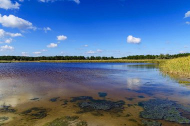 Mineraller ve iyot Kherson region, Ukrayna, bir açık yaz günü Gölü nün görünümü