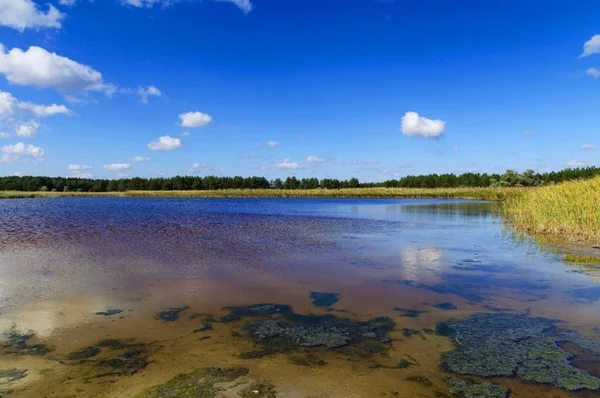 Mineraller ve iyot Kherson region, Ukrayna, bir açık yaz günü Gölü nün görünümü