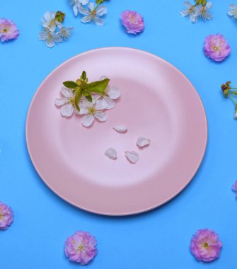boş yuvarlak seramik pembe plaka çiçek tomurcukları pembe ve beyaz kiraz, en iyi görünüm ortasında mavi bir arka plan üzerinde