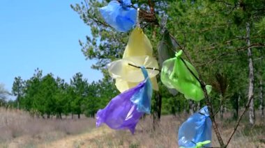 bir yaz günü ormanın ortasında bir şube plastik torbalar dayan