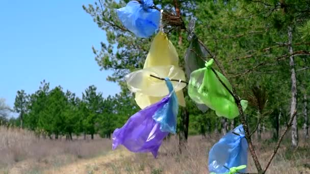 Plastic Bags Hang Branch Middle Forest Summer Day — Stock Video