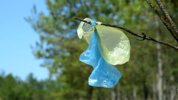 Plastic Bags Hang Branch Middle Forest Summer Day — Stock Video