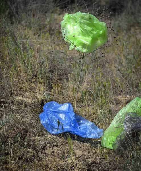 empty plastic bags fly through the green meadow on a summer day, pollution of the environment