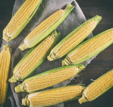 çok taze olgun Mısır koçanı bir gri kumaş peçete, ahşap arka plan, üstten görünüm