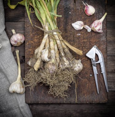 demet taze genç sarımsak kahverengi ahşap masa, üstten görünüm üzerinde bir ip ile bağlı