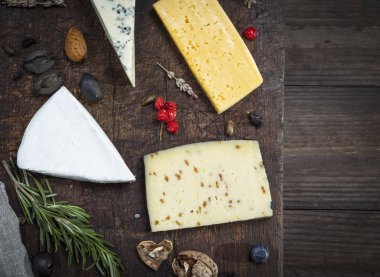 kahverengi kesme tahtası üzerinde peynir parçalarını: rokfor, brie, peynir ceviz, üstten görünüm, boş alanı ile