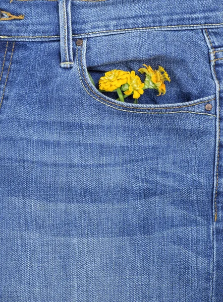 蓝色牛仔裤片断与一束花在前面口袋 充分的框架 — 图库照片