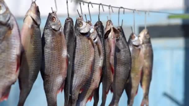 Escamas Pescado Cuelga Gancho Hierro Proceso Salazón Secado — Vídeos de Stock